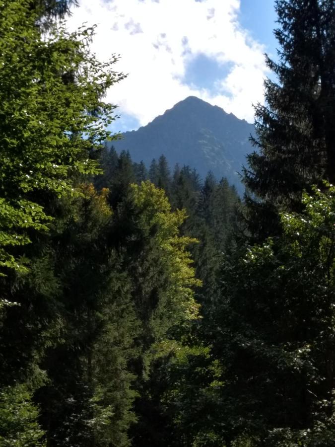 Eistobel Und Felderhalde Apartman Isny im Allgäu Kültér fotó