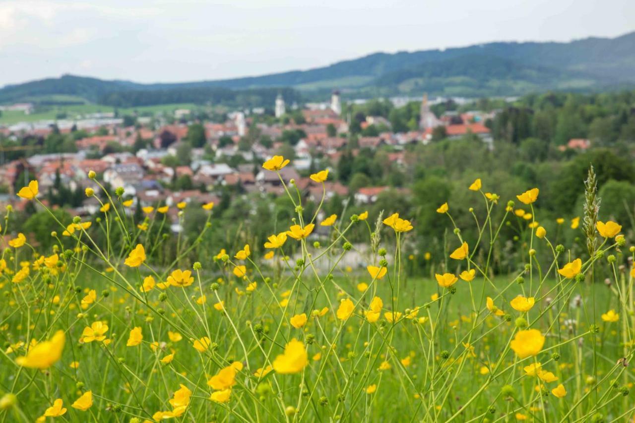 Eistobel Und Felderhalde Apartman Isny im Allgäu Kültér fotó